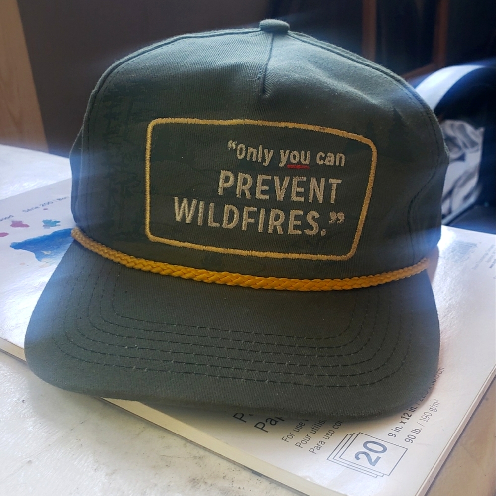 Only you can prevent wildfires snapback